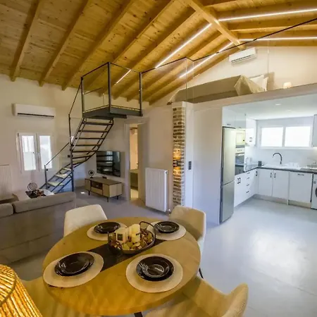 Apartament Nikri Loft Project