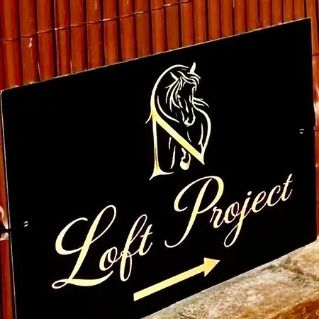 Apartament Nikri Loft Project